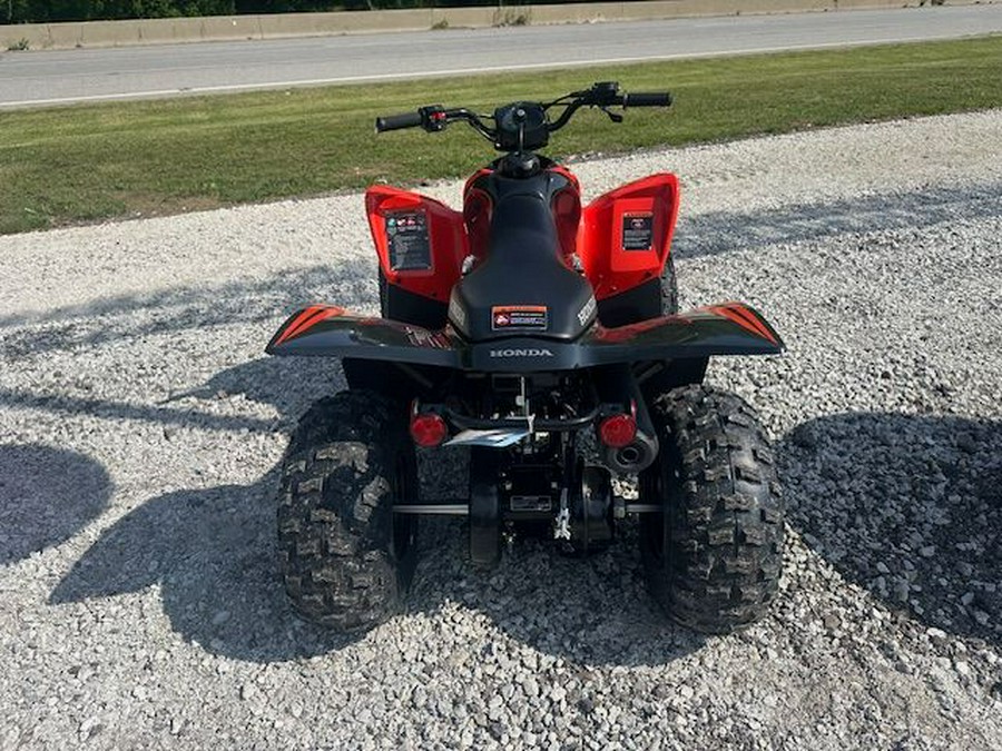 2024 Honda TRX90X