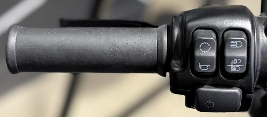 2020 Harley-Davidson® XL883N - Iron 883™