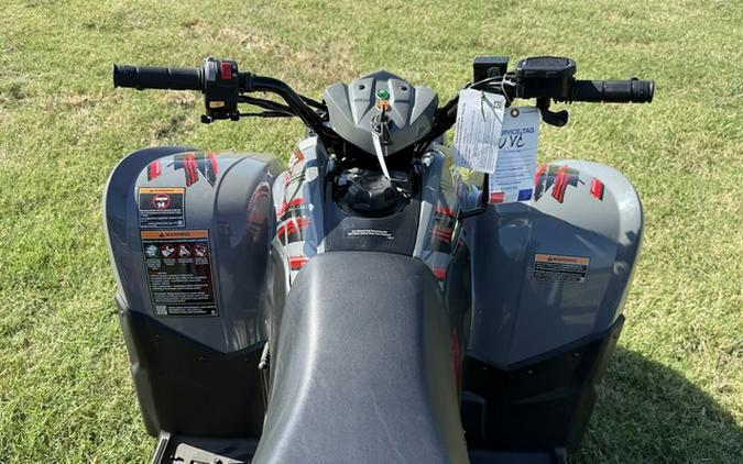 2024 Polaris Phoenix 200