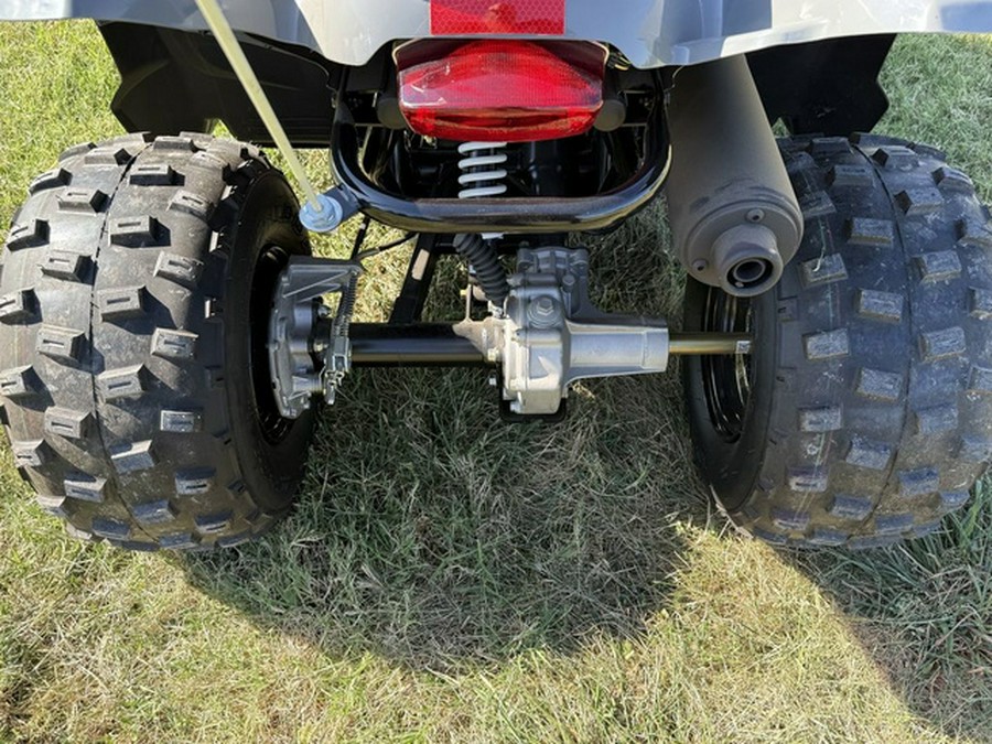 2024 Polaris Phoenix 200