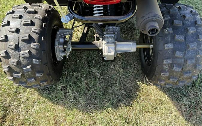 2024 Polaris Phoenix 200