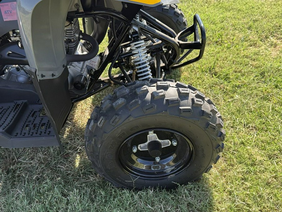 2024 Polaris Phoenix 200