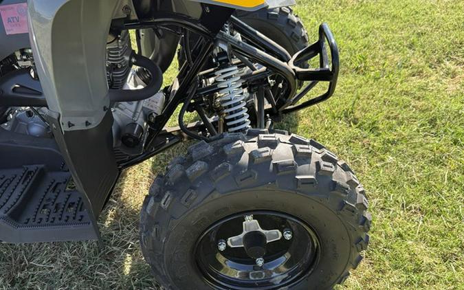 2024 Polaris Phoenix 200