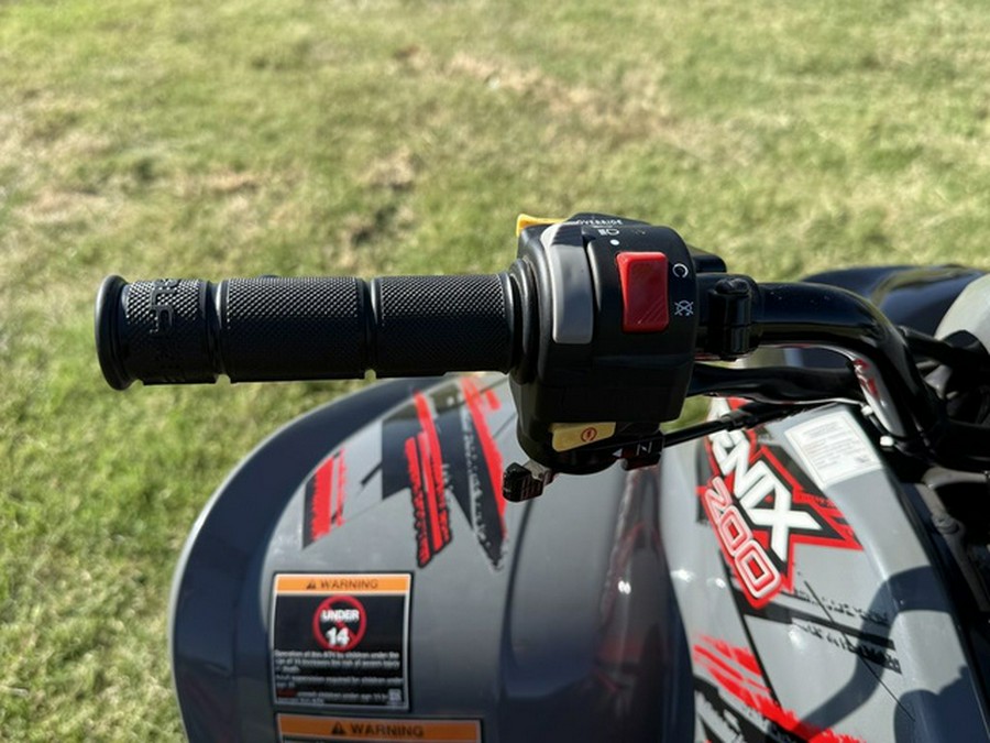 2024 Polaris Phoenix 200