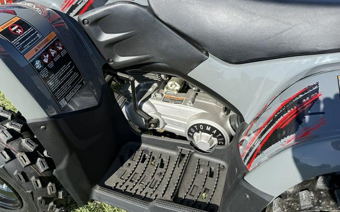2024 Polaris Phoenix 200