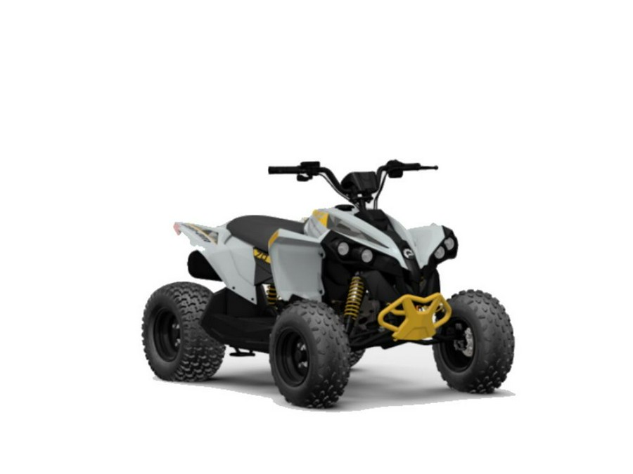 2024 Can-Am® Renegade 110 EFI