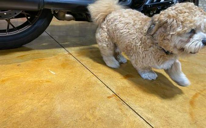 2023 Harley-Davidson Street Glide® ST