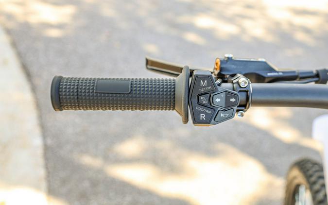 2025 79 BIKE FALCON PRO