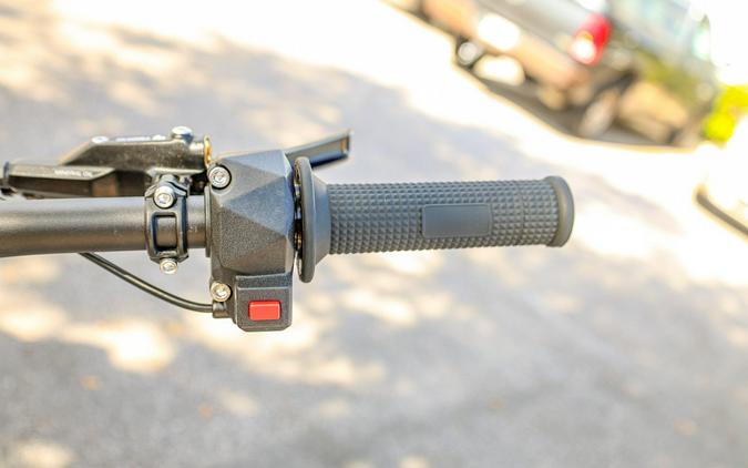 2025 79 BIKE FALCON PRO
