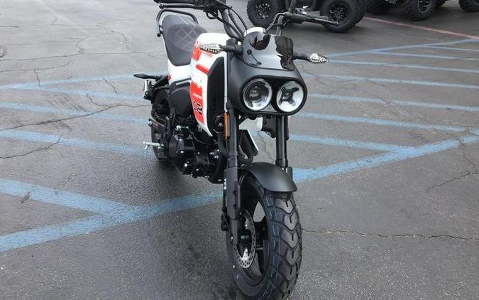 2026 CFMOTO Papio CL