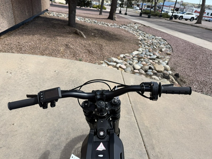 2025 E-Ride Pro Mini