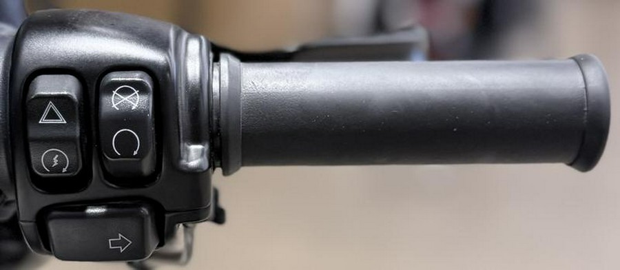 2022 Harley-Davidson® XL883N - Iron 883™