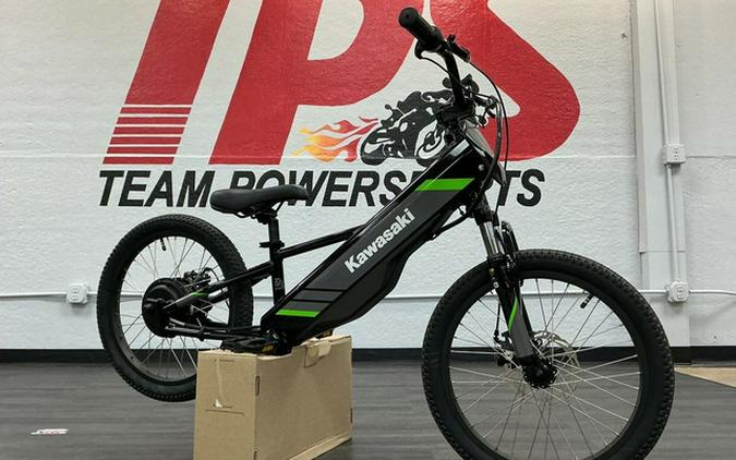 2025 Kawasaki Elektrode 20