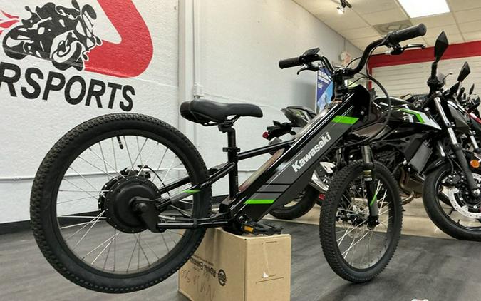 2025 Kawasaki Elektrode 20