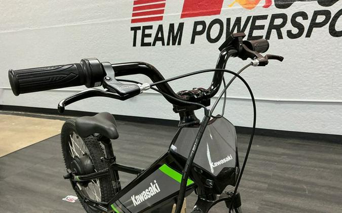 2025 Kawasaki Elektrode 20