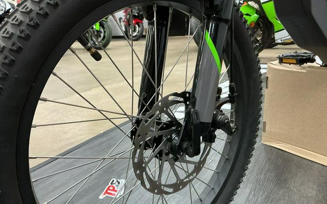 2025 Kawasaki Elektrode 20