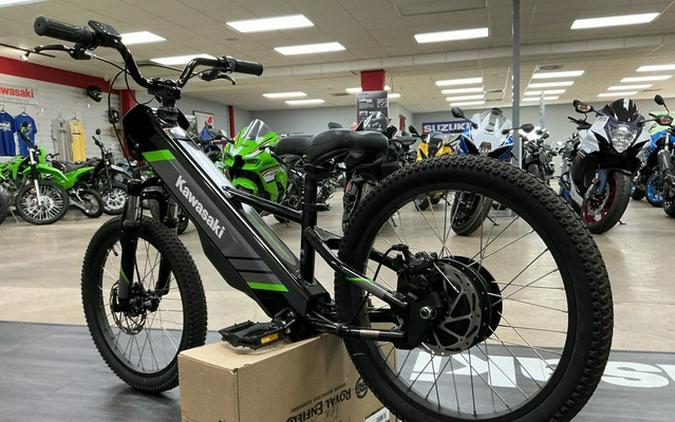 2025 Kawasaki Elektrode 20