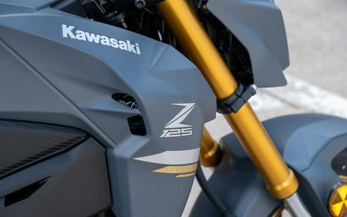2024 Kawasaki Z125 PRO