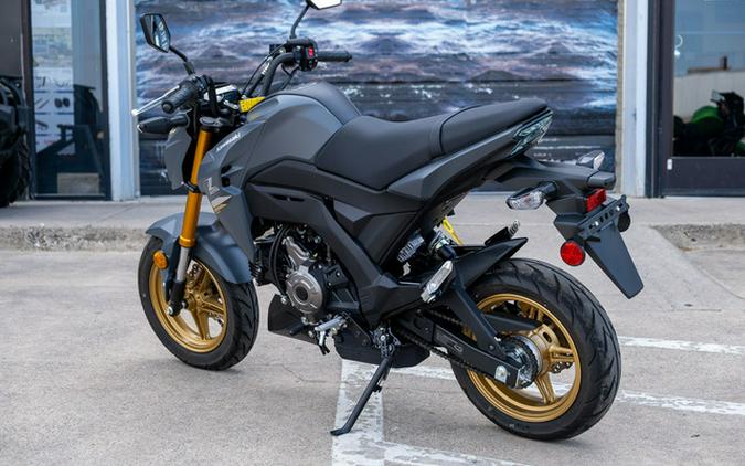 2024 Kawasaki Z125 PRO