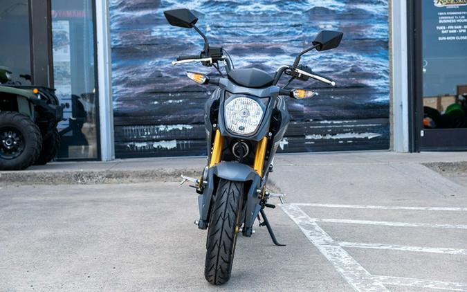 2024 Kawasaki Z125 PRO
