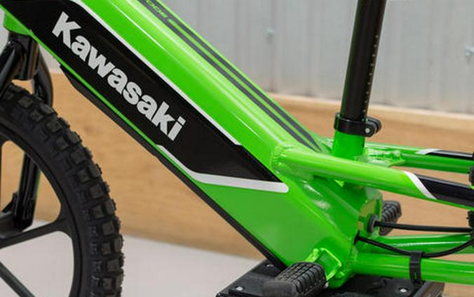 2024 Kawasaki Elektrode®