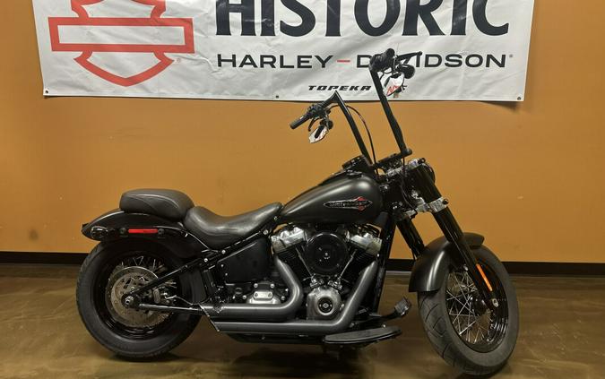 FLSL 2019 Softail Slim®