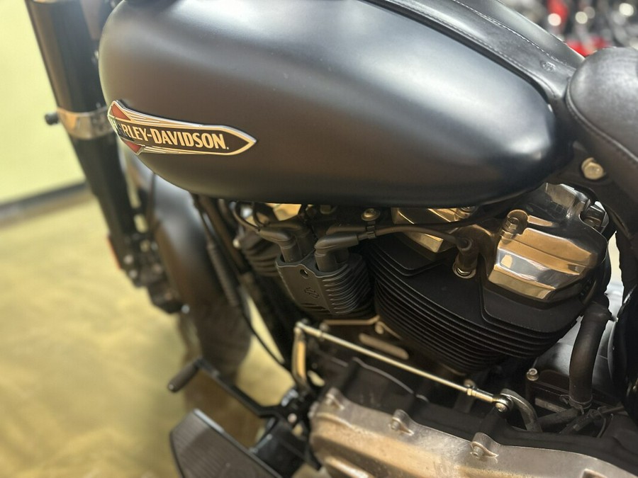 FLSL 2019 Softail Slim®