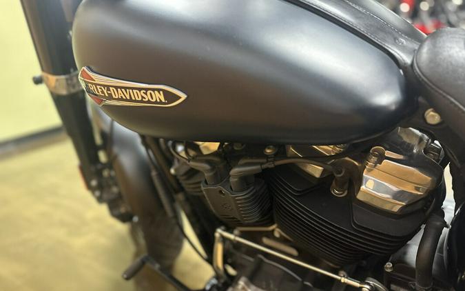 FLSL 2019 Softail Slim®