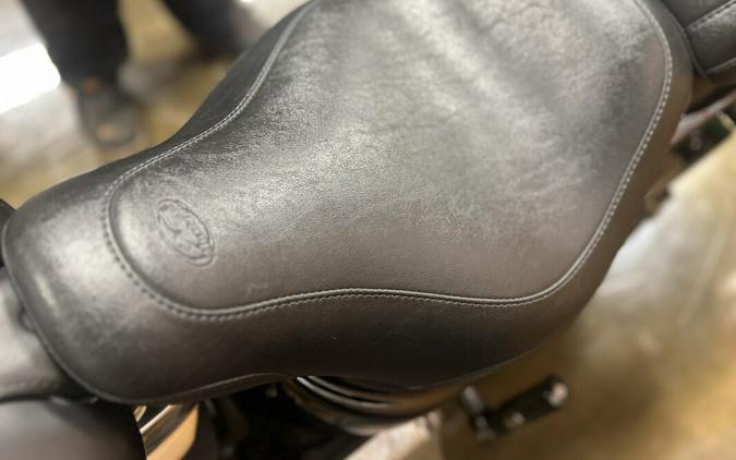 FLSL 2019 Softail Slim®