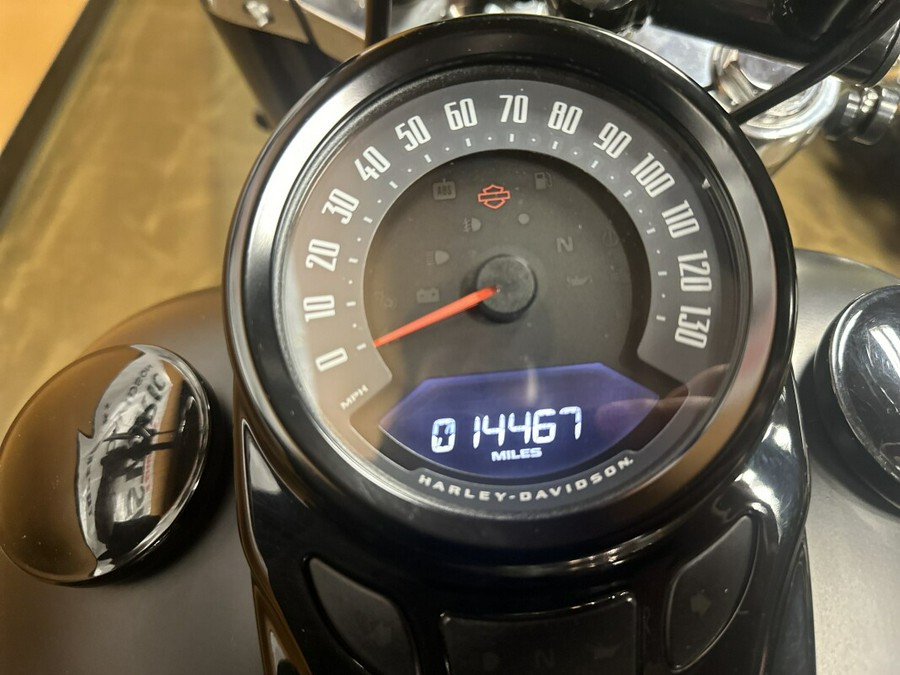 FLSL 2019 Softail Slim®