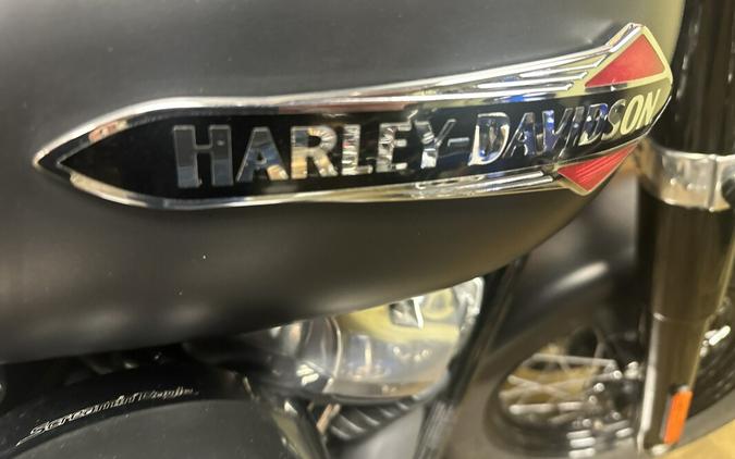 FLSL 2019 Softail Slim®