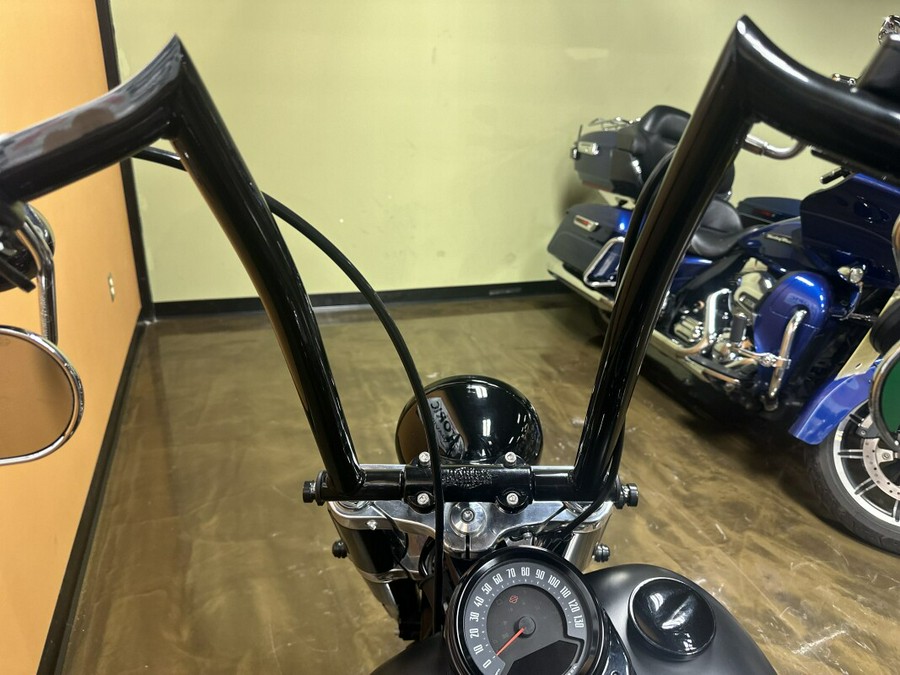 FLSL 2019 Softail Slim®