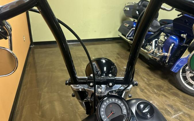 FLSL 2019 Softail Slim®