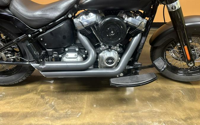 FLSL 2019 Softail Slim®