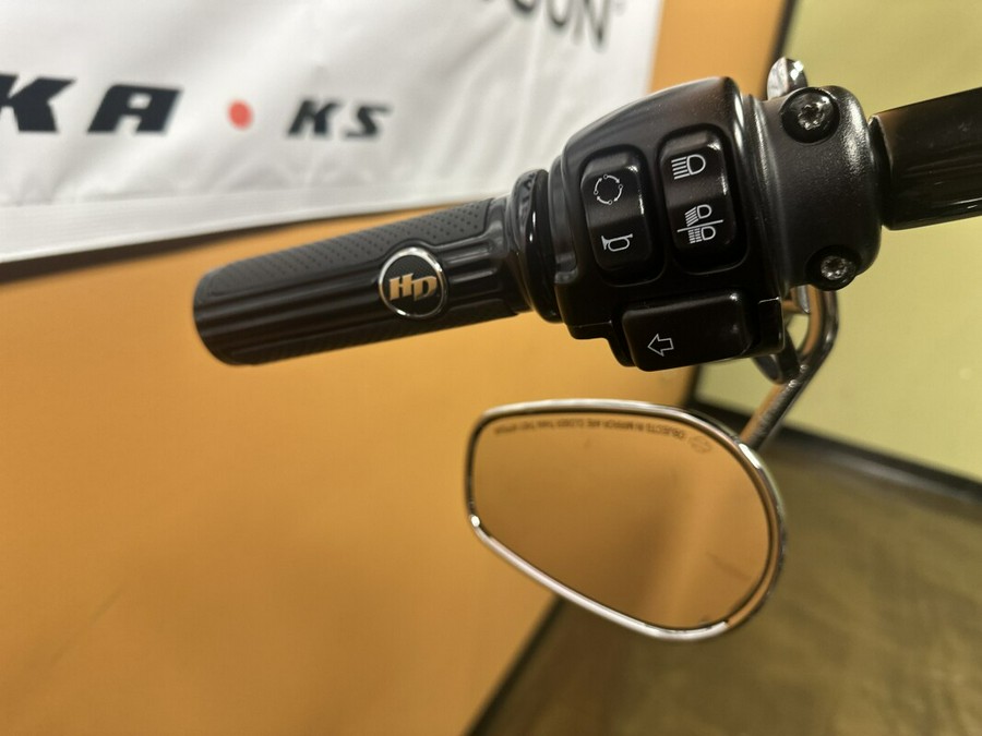 FLSL 2019 Softail Slim®