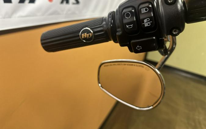 FLSL 2019 Softail Slim®