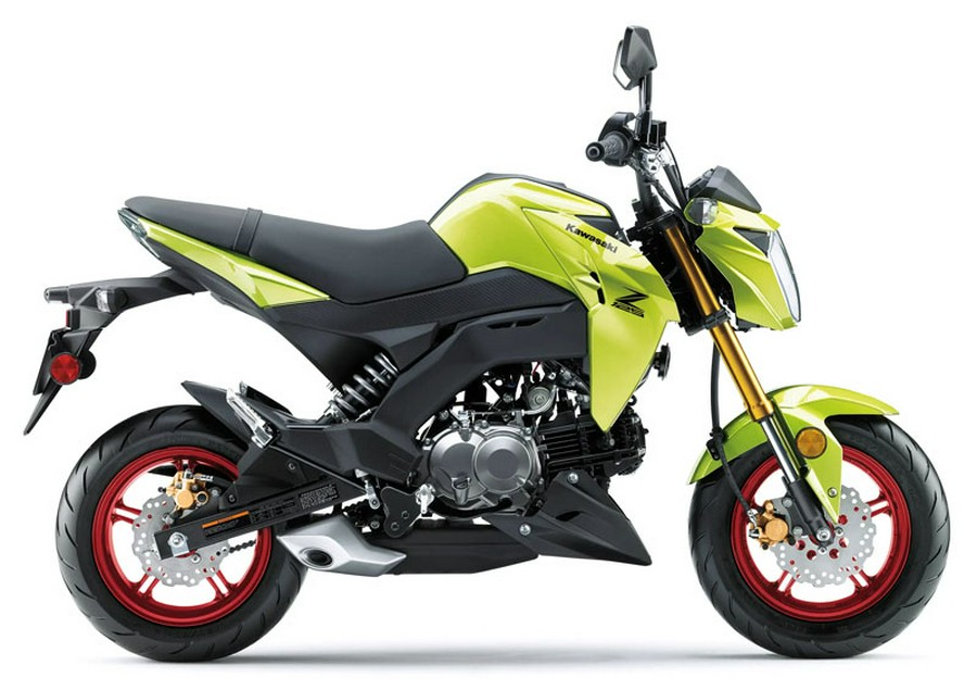 2026 Kawasaki Z125 Pro