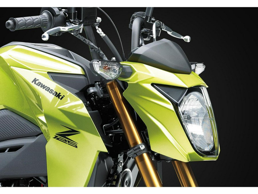 2026 Kawasaki Z125 Pro