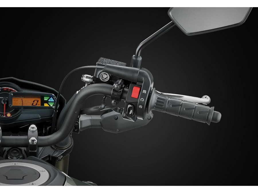 2026 Kawasaki Z125 Pro