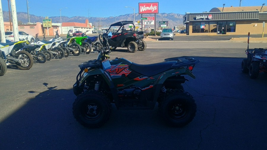 2025 Kayo Bull 300 EFI