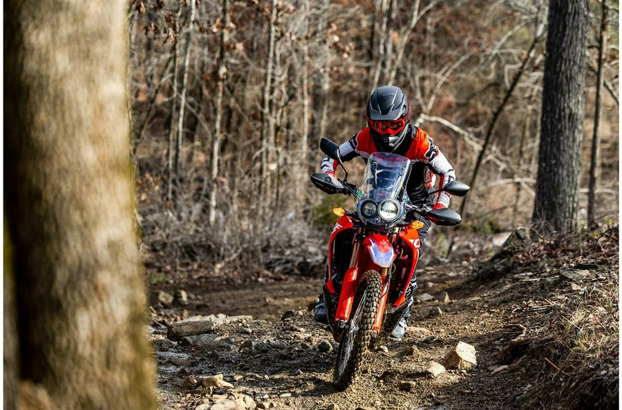 2023 Honda CRF300L RALLY