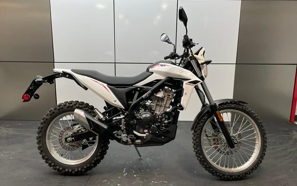 2026 Beta Motorcycles Alp 4.0