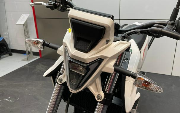 2026 Beta Motorcycles Alp 4.0