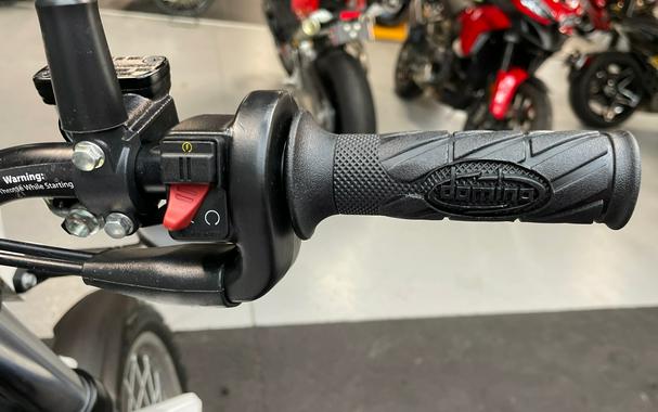 2026 Beta Motorcycles Alp 4.0