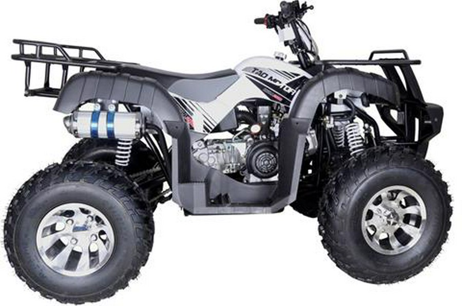 2025 Tao Motor Bull 200S