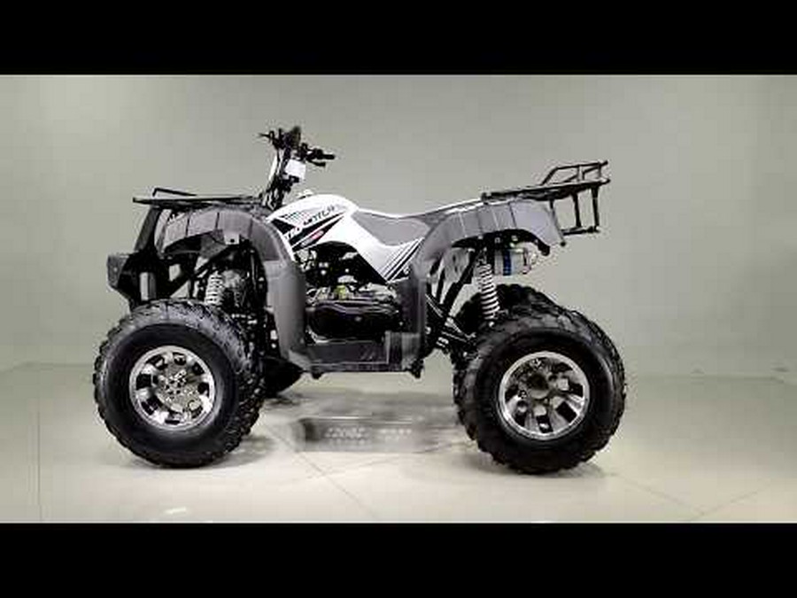 2025 Tao Motor Bull 200S