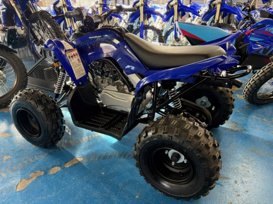 2025 Yamaha Raptor 110