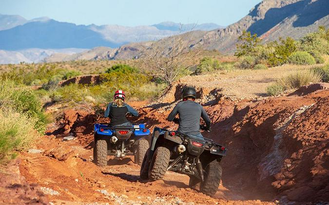 2020 Honda FourTrax Rancher 4x4