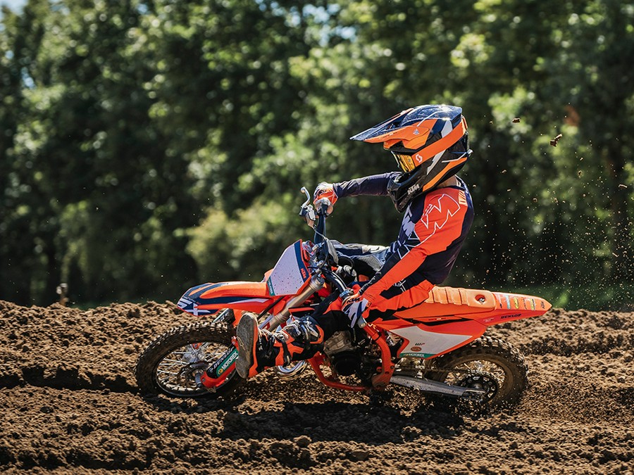 2026 KTM 50 SX FACTORY EDITION - 023778