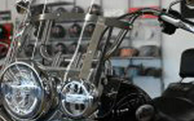 2022 Harley Davidson Heritage 114